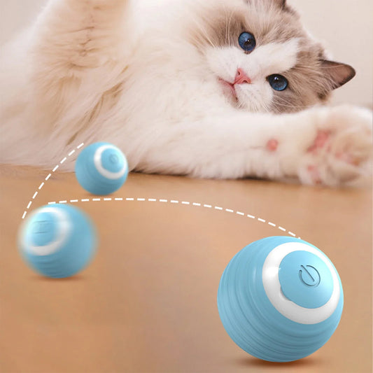 Smart Cat ball | Rechargable